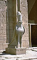 Horus-Statue am Tempel zu Edfu
