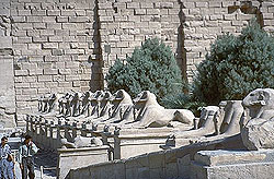 Sphingen-Allee vor dem Karnak-Tempel (Luxor, Ägypten)